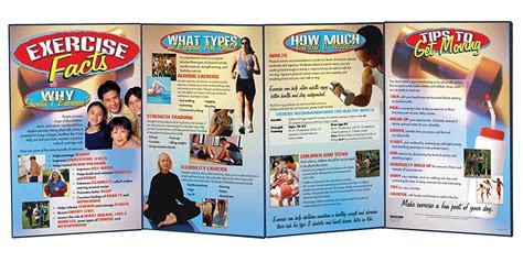 health edco w43146 exercise facts folding display 58 length x 22 1 2 height