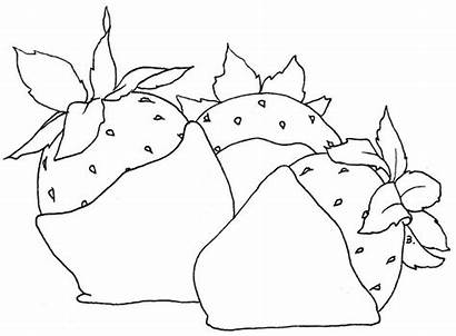 Chocolate Strawberries Coloring Pages Beccy Stamp Digital