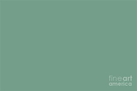 Medium Green Solid Color Pantone Malachite Green 16 5917 Tcx Shades Of
