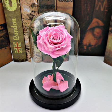 2019 New Arrival Preserved Rose In Glass Dome With High Quality From