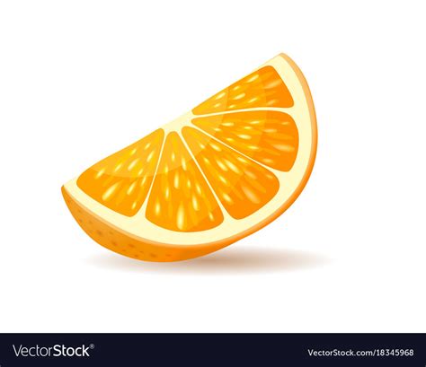 Orange Slice With Peel Royalty Free Vector Image