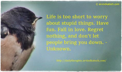 daily quote life is too short to worry about stupid things best daily thoughts with meanings