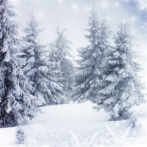 Laeacco Winter Forest Backdrops Snowflake Tree Sunshine Portrait Scenic