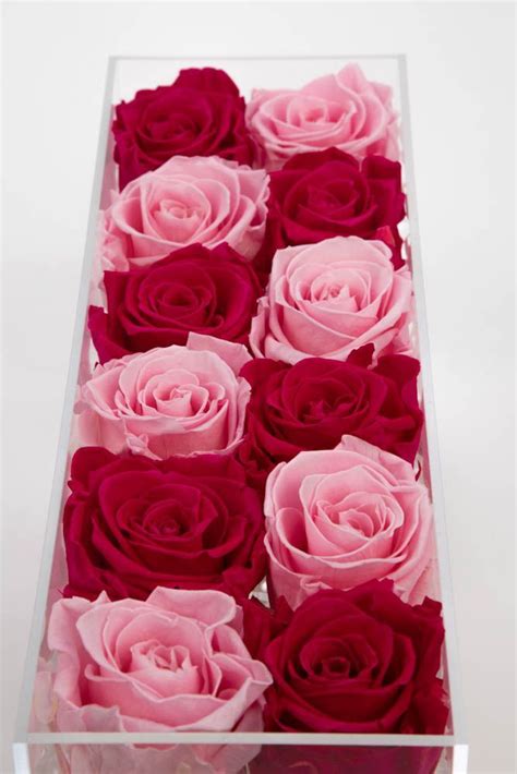 12 Forever Rose Box The Rosarium Premium Flower Delivery Vaughan