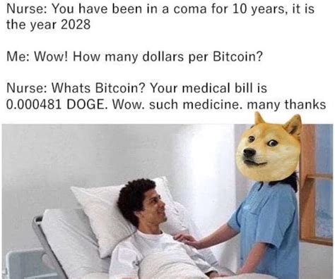 Dogecoin The Top 10 Memes Of 2020 The Cryptonomist
