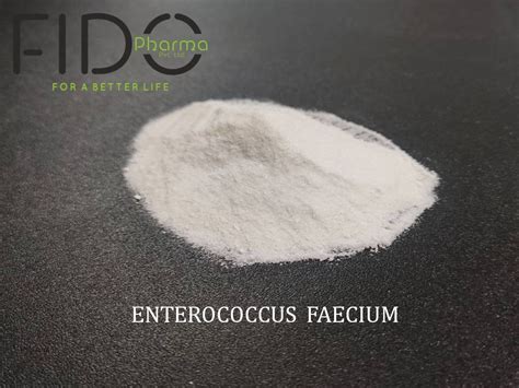 Enterococcus Faecium Packaging Type Hdpe Drums Packaging Size 25