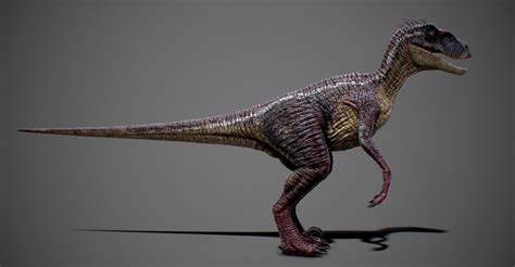 Velociraptor 3d Model 3d Model Rigged Cgtrader
