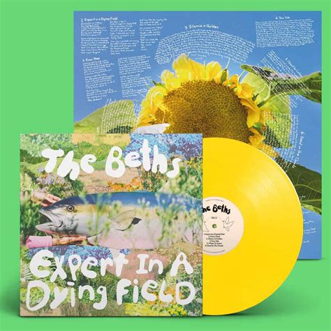 The Beths Expert In A Dying Field Vinyl And Cd And Tape Norman Records Uk