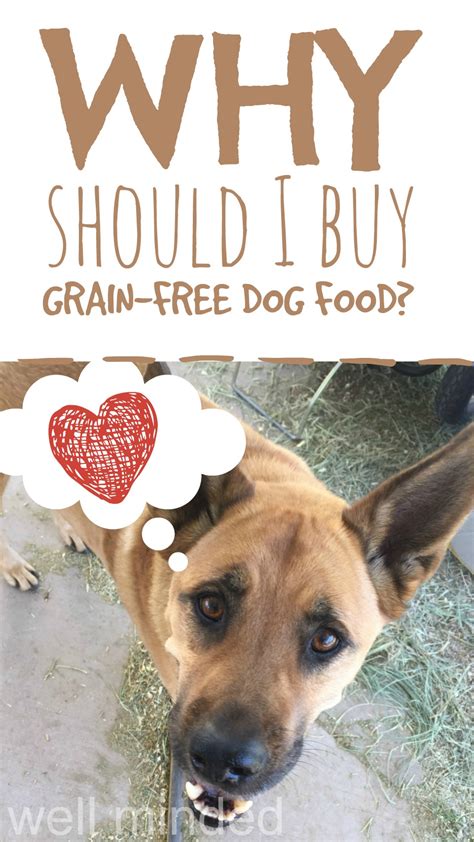How concerned should dog owners be? why should I buy grain-free dog food? #sponsored — well ...