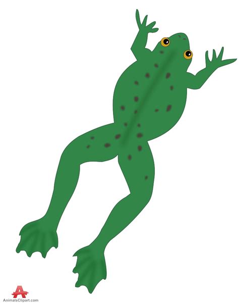 Frog Jumping Cliparts Free Download On Clipartmag