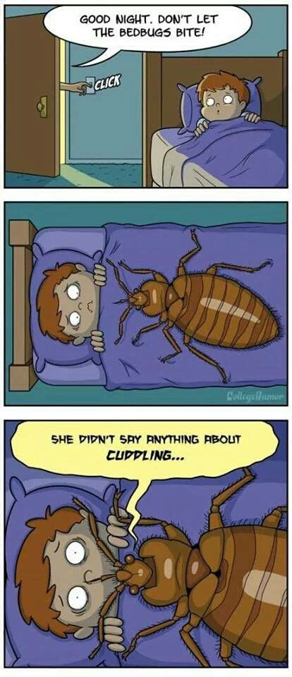 Cuddle Time Bed Bugs Bed Bug Bites Bones Funny