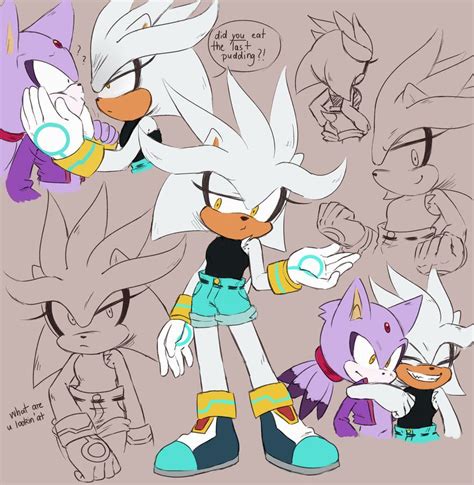 Because Why Not By Freedomfightersonic On Deviantart Silvaze 7u7