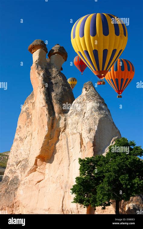 Hot Air Balloons And Fairy Chimneys Near Zelve Cappadocia Turkey