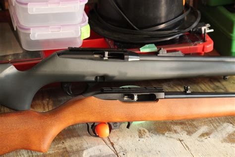 Ruger 1022 Vs Remington 597 The Hunting Gear Guy