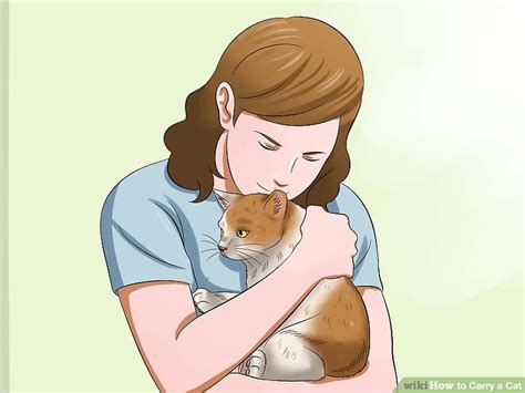 3 Ways To Carry A Cat Wikihow