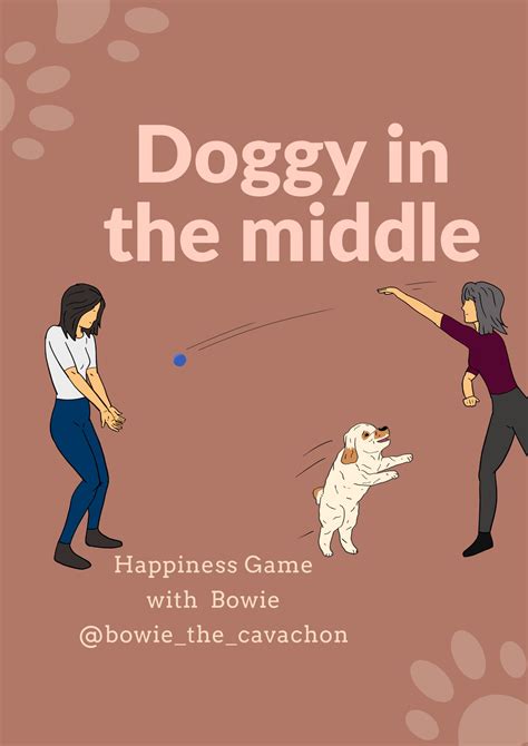 Doggy In The Middle Diy Games For Dogs Bounce And Bella