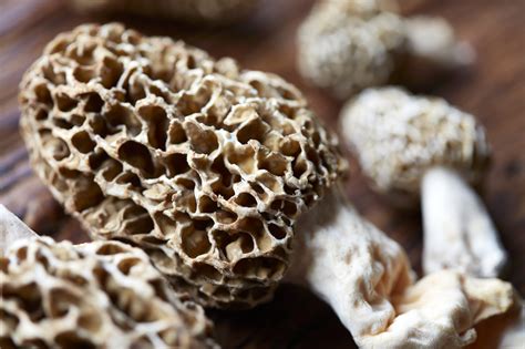 The 13 Most Common Types of Mushrooms—And What to Do with Them ...
