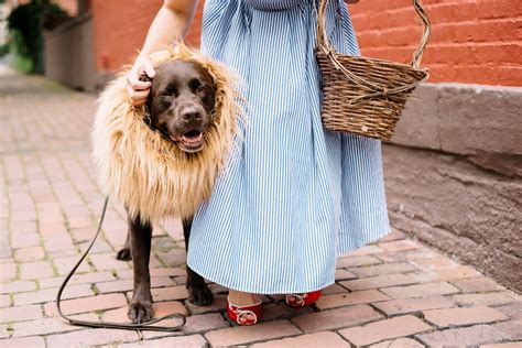 Halloween Couples Costume Dorothy And The Lion Wear Wag