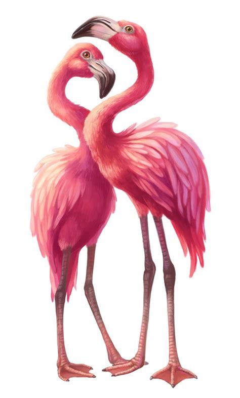 Pink Flamingos Art Print By Elena Selivanova X Small Flamingo Art