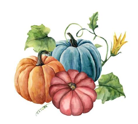 Watercolor Autumn Pumpkins Hand Painted Bright Pumpkins With