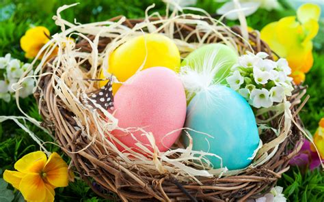 Easter Eggs Colorful Nest Flowers Spring Wallpaper Celebrations