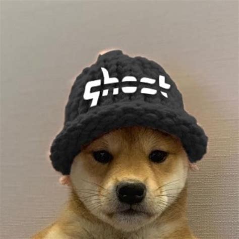 Ghost Gaming Dogwifhat Dogwifhat Famous Dogs Dog Images Dog Icon