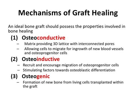 Bone Grafts Engineering