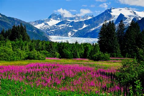 Alaska Alaska Hakkında Bilinmesi Gerekenler Alaska Rehberi