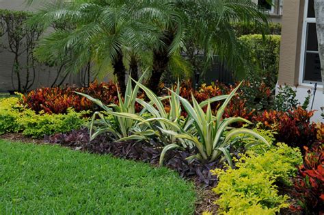 Tropical Garden Design Plants Tropical Garden Design