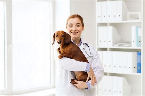 Animal shelter & pet adoption center. Animal Placement - Scinn Medical Centre