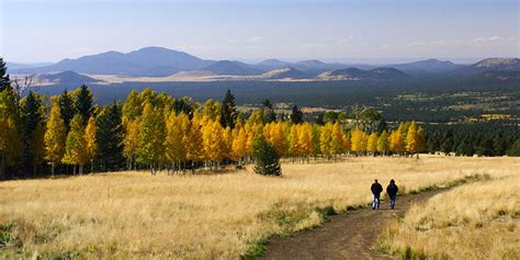 17 Best Hikes In Flagstaff To Reconnect You With Nature Flavorverse