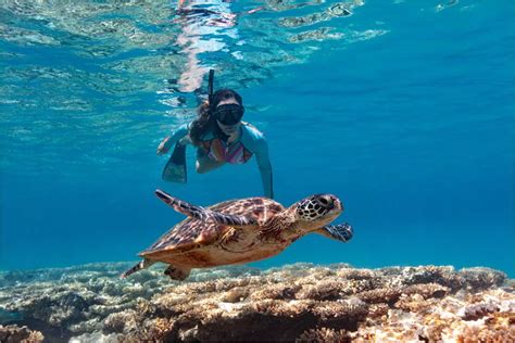 Snorkelling Tour At Blue Lagoon Padang Bai Bali Good Day Bali Tour