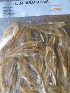 Ikan gonjeng/bulu ayam rm 3.50 (sebungkus). BORNEO FROZEN AND DRIED SEAFOOD: Ikan Bulu Ayam