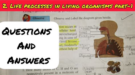 10thstd Science 2 Chapter 2 Life Processes In Living Organisms Part