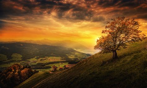 Tree Landscape Nature Switzerland Autumn Wallpaper 5616x3381 866235