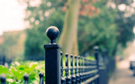 Fence Full Hd Wallpaper And Background Image 1920x1200