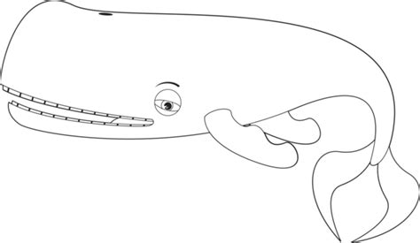 Cartoon Whale Outline Png Transparent Images Free Download Vector