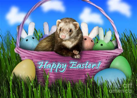 Easter Ferret Photograph By Jeanette K