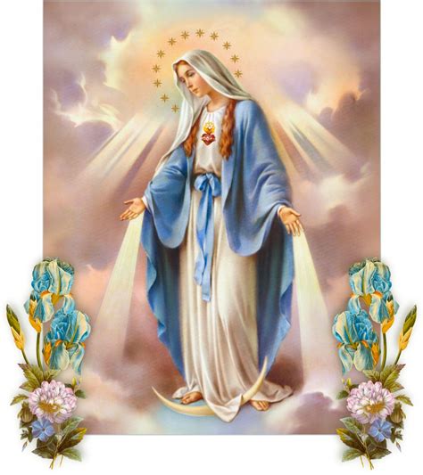 Free for commercial use no attribution required high quality images. MARY IS NECESSARY: SHE VANQUISHES ALL HERESY | Mother mary ...