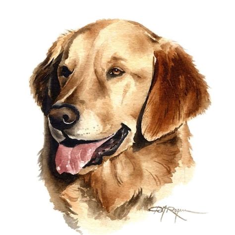 Flat Coated Retriever Dog Art Print By Artist D J Rogers Etsy