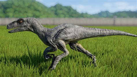 Velociraptor Jurassic World Evolution Wiki Fandom Velociraptor Jurassic World Evolution