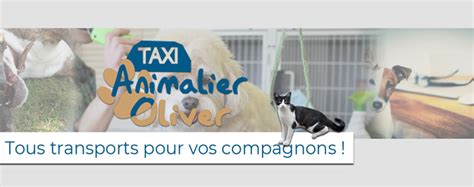 Taxi Animalier Nancy Et Sa Région 7 Jours Sur 7