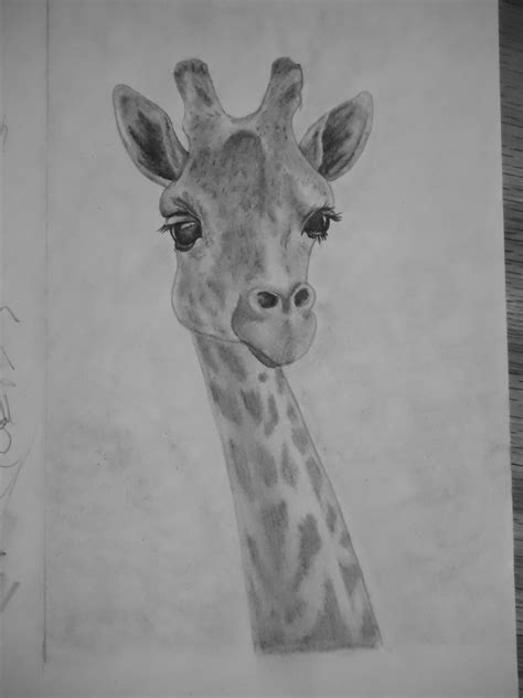Multiple sizes and related images are what you'll need: Giraffe Pencil Drawing | Artsy Side | Pinterest