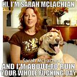 Images of Aspca Sarah Mclachlan Commercial In The Arms Of An Angel
