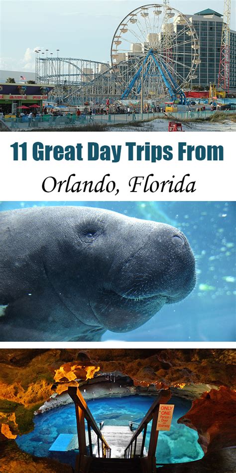 11 Great Day Trips From Orlando Florida With Kids