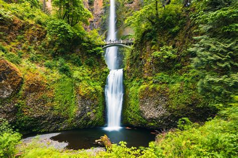 10 Best Natural Sights Around Portland Escape To Portlands Most