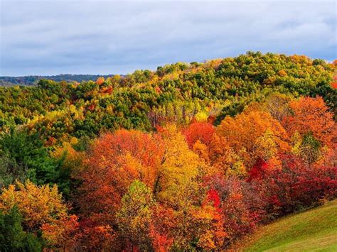 9 Best Fall Foliage Getaways In The Midwest Trips To Discover