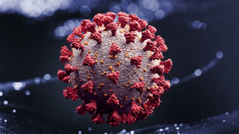 Novel Coronavirus Has Perfect Storm Of Traits To Trigger Pandemic