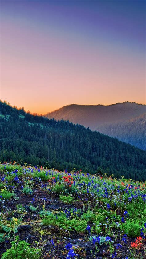 Mountain Sunrise Scenary Iphone Wallpaper Iphone Wallpapers
