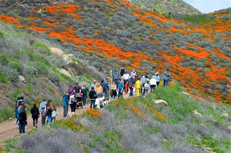 New Photo Californias Super Bloom As Seen From Outer Space